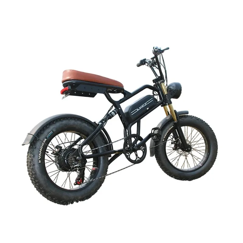 

AKEZ 48V 18Ah 500W Retro Electric Road Bike for Adults | Vintage High-Carbon Steel E-Bike | In-Stock USA
