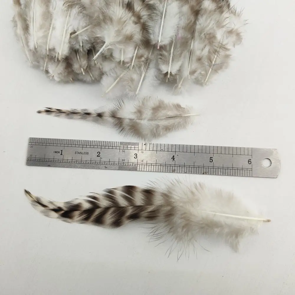 100 قطعة من ريش دجاج ماران الوقواق الطبيعي مقاس 4-6 بوصة يمكنك صنعها بنفسك مجموعة غير مصبوغة للديكور (عبوة واحدة) #4
