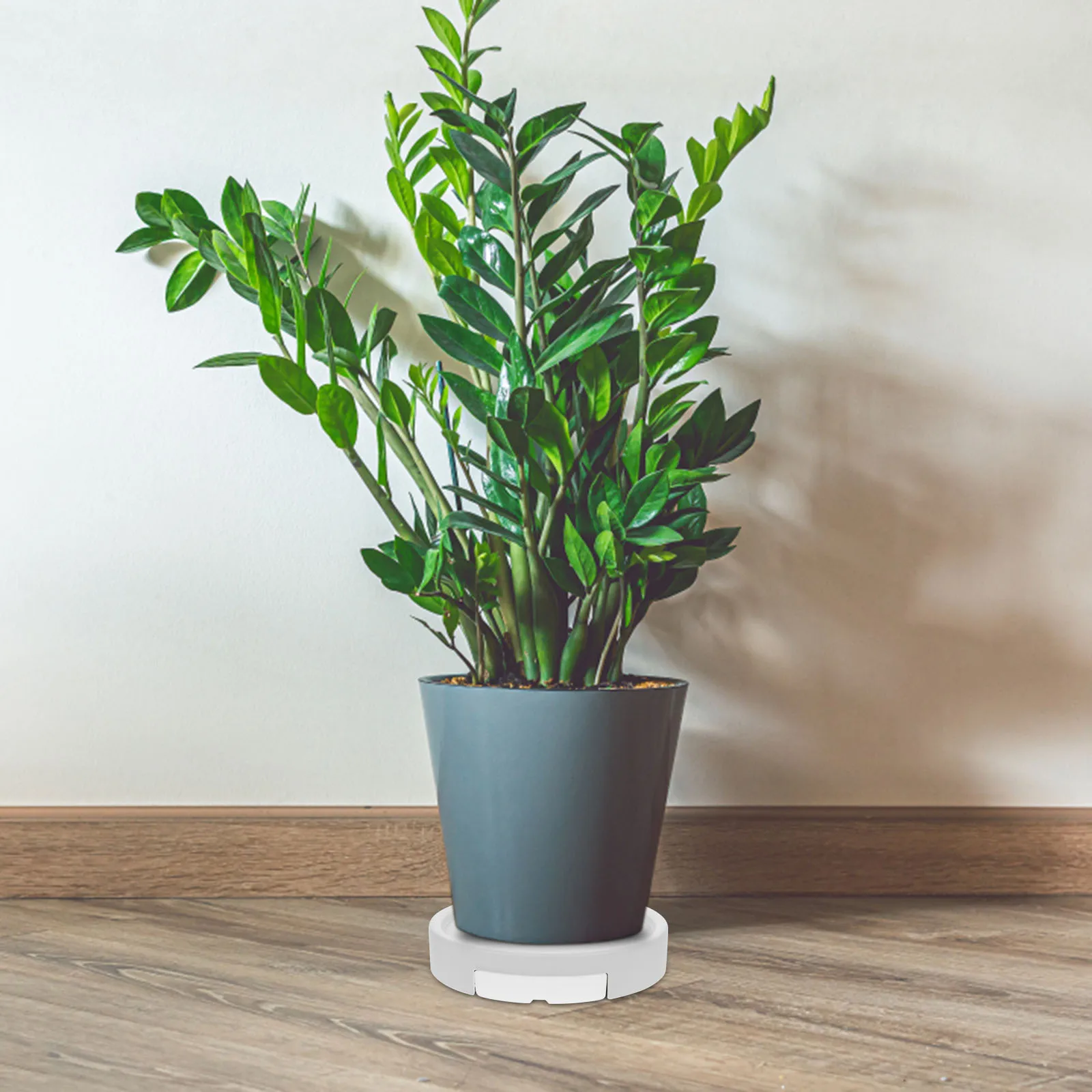 

Movable Plant Outer 20cm Inner Grey Rolling Planter Storage Movable Flower Pot Tray Plant Tray Outdoor Flower Pot Holder