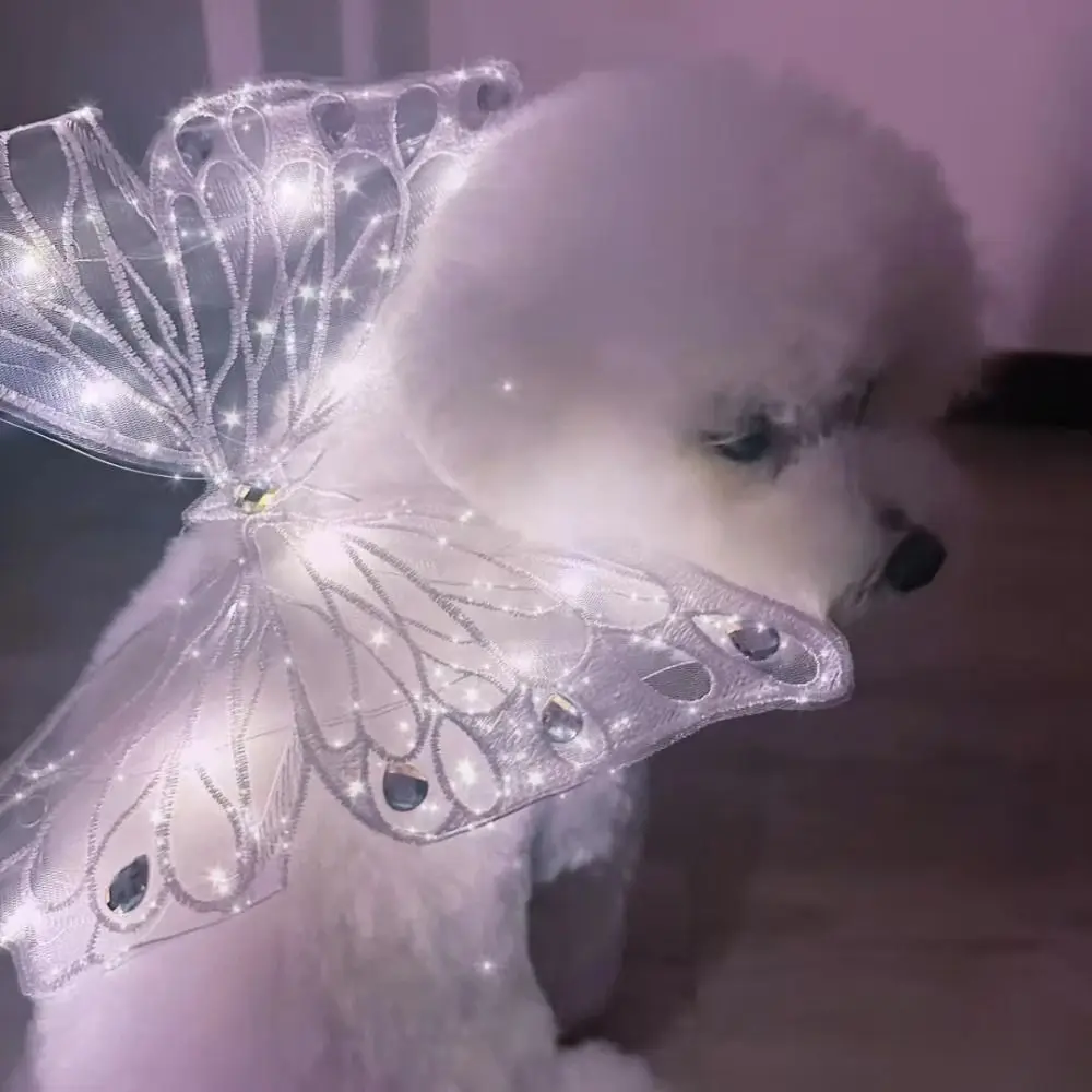 Cute Glowing Dog Wing Butterfly for Small Medium Dog Clothes Sweet Gift Pet Back Decoration