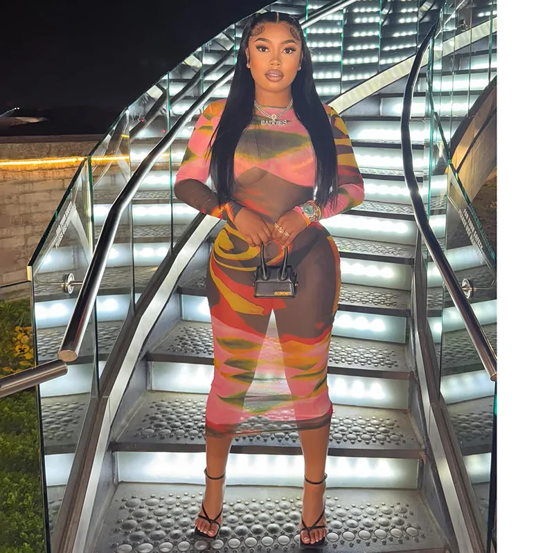 

STYLISH LADY Painting Printed Mesh Dress 2025 Summer Women Long Sleeve O Neck Bodycon Sexy Club Party Midi See Through Dresses