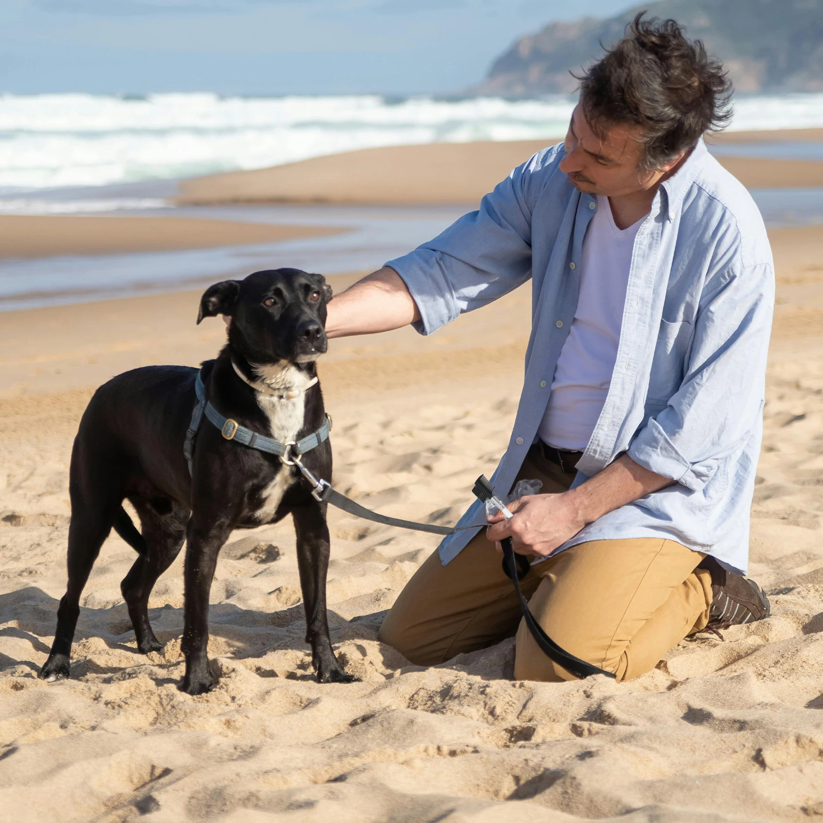 

2pcs Dog Eye Comb Fine Grinding Sturdy Teeth Smooth Surface Pet Grooming Rake For Medium Long Hair Dogs Cats Deshedding Tool