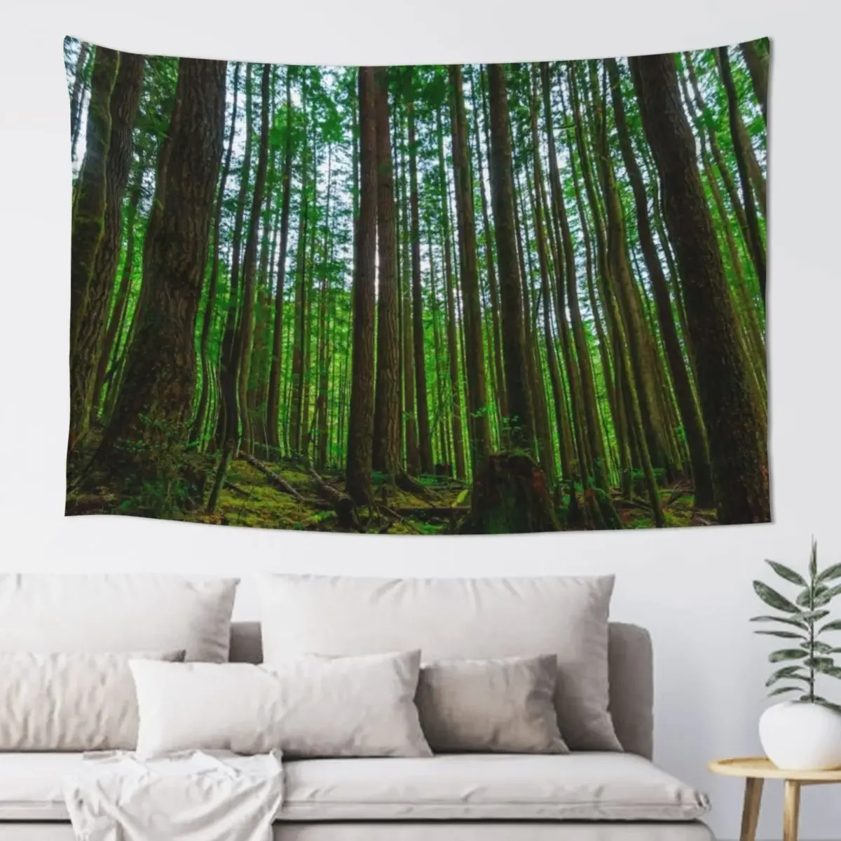 Endor Tapestry Home Decorations Aesthetic Home Supplies Outdoor Decor Room Aesthetic Tapestry