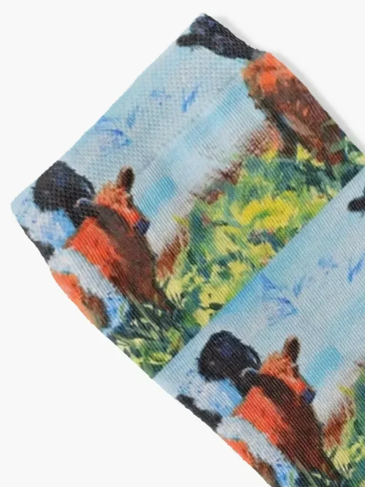 Belted Galloway Bull Calves Calf Painting - Orange brown and black beltie cattle Socks Lots Climbing Socks Women Men's