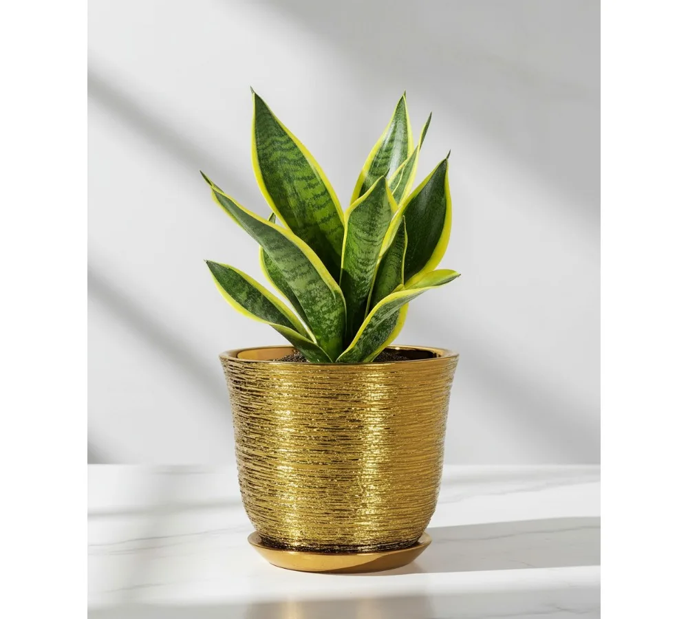 

8-дюймовый керамический горшок для растений с дренажным отверстием и блюдцем, современный круглый горшок для комнатных и уличных растений, декор для домашнего сада