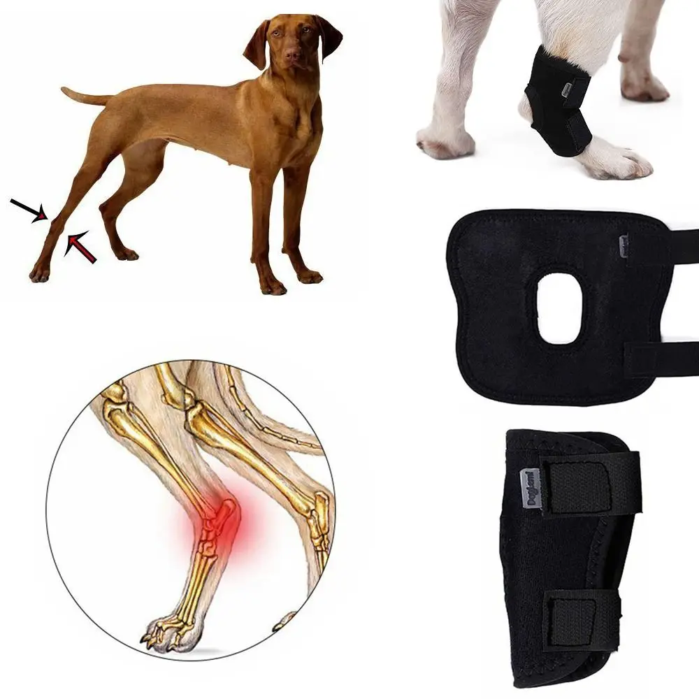 Bandage Dog Arthritis Protector Cover Pain Relief Dog Leg Support Dogs Injury Recovery Dogs Hock Joint Brace Pet Knee Pads