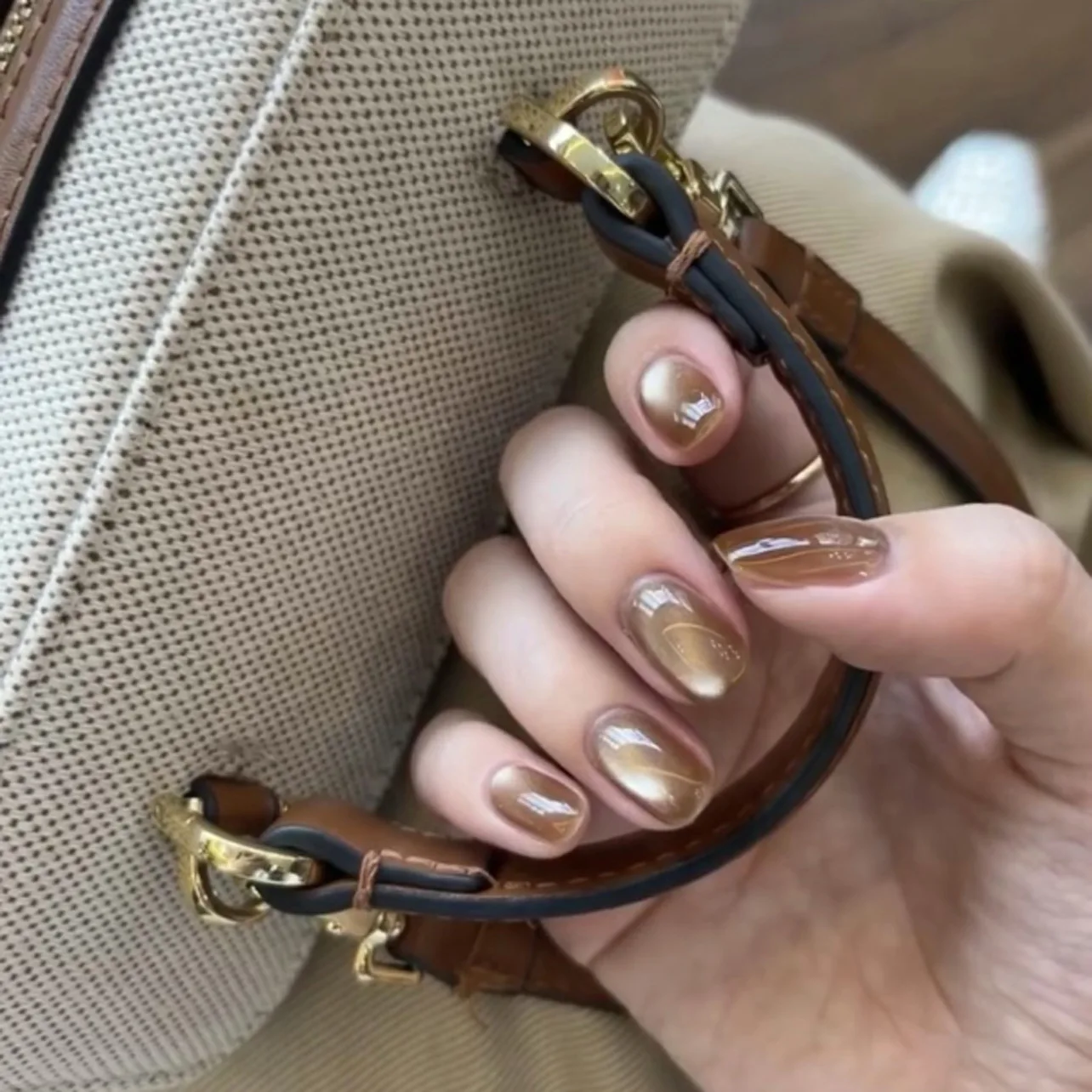 Wine Red Cat Eye Nail Art False Nails Set