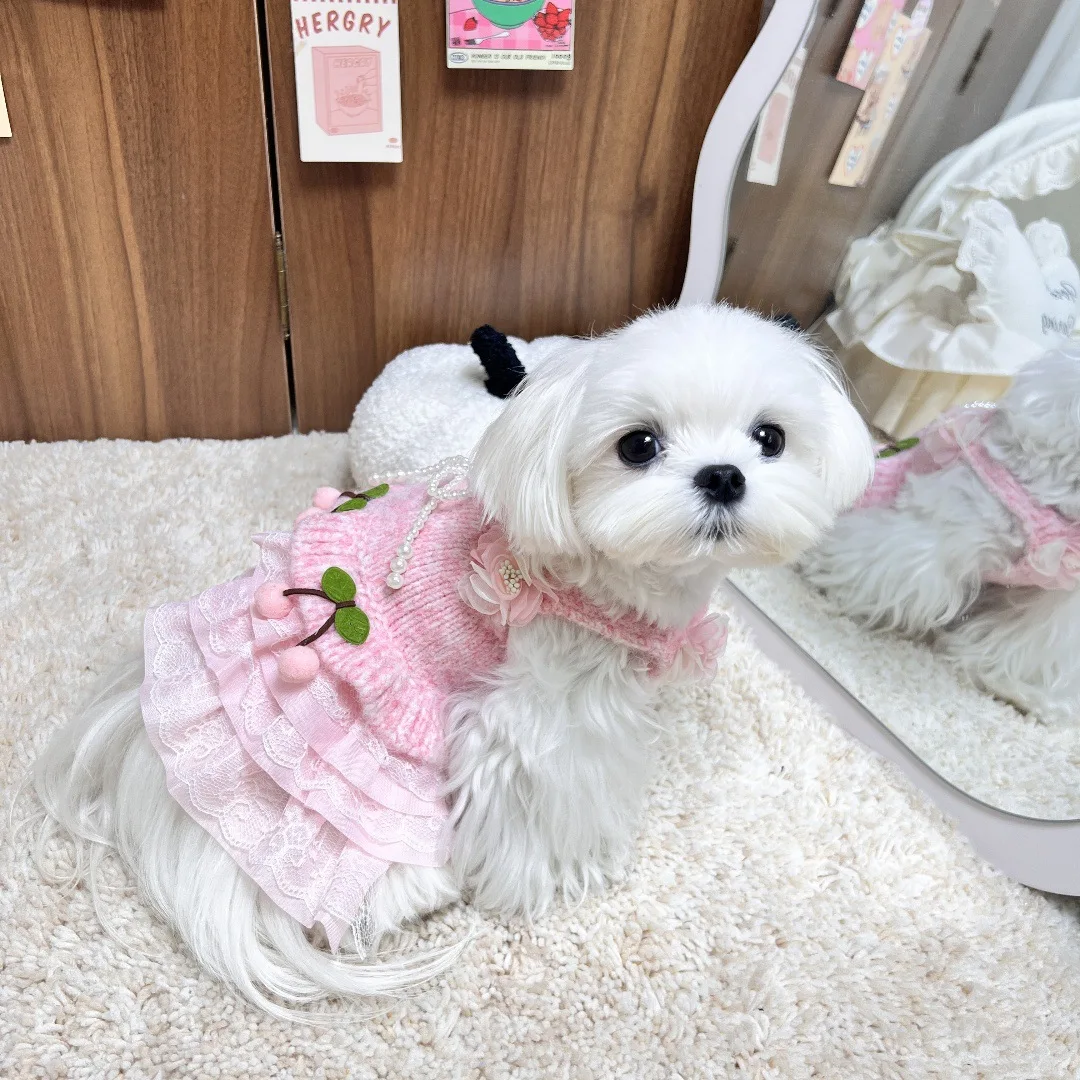 2025 nuevo suéter para cachorros faldas ropa moda coreana rosa verde azul vestido de encaje de punto para perros pequeños medianos ropa para mascotas Chihuahua