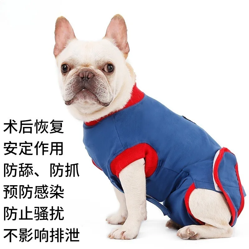 Dog neutering surgery recovery suit to protect wounds and prevent licking weaning suit Post-operative care of female dogs