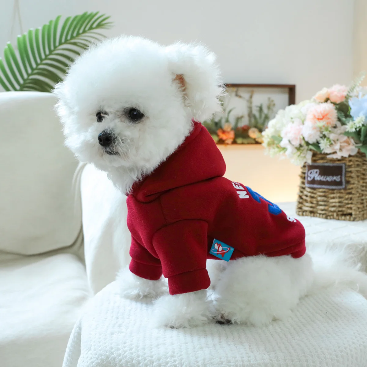 1PC Pet Clothing Spring and Autumn Velvet Red New York 33 Head Hat Hoodie Suitable for Small and Medium sized Dogs