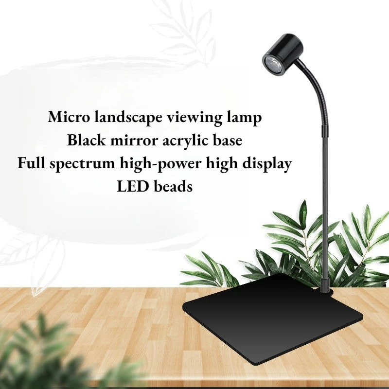 2026 Full Spectrum LED Micro Landscape Light Terrarium Moss Aquascape Supplement Lamp Indoor Plant Lighting Fixture