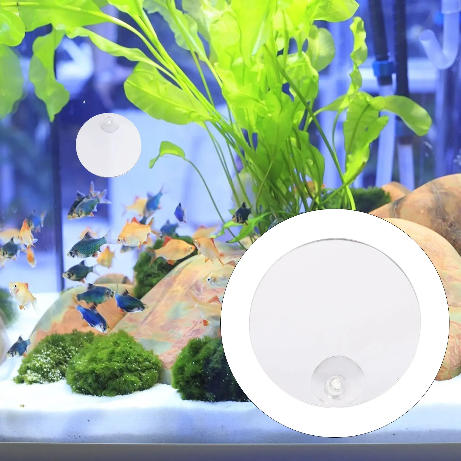 

10Pcs Betta Fish Mirror Single Side Sucker Cup Fish Tank Mirror Aquarium Decoration Training Supplies Betta Tank Decorations