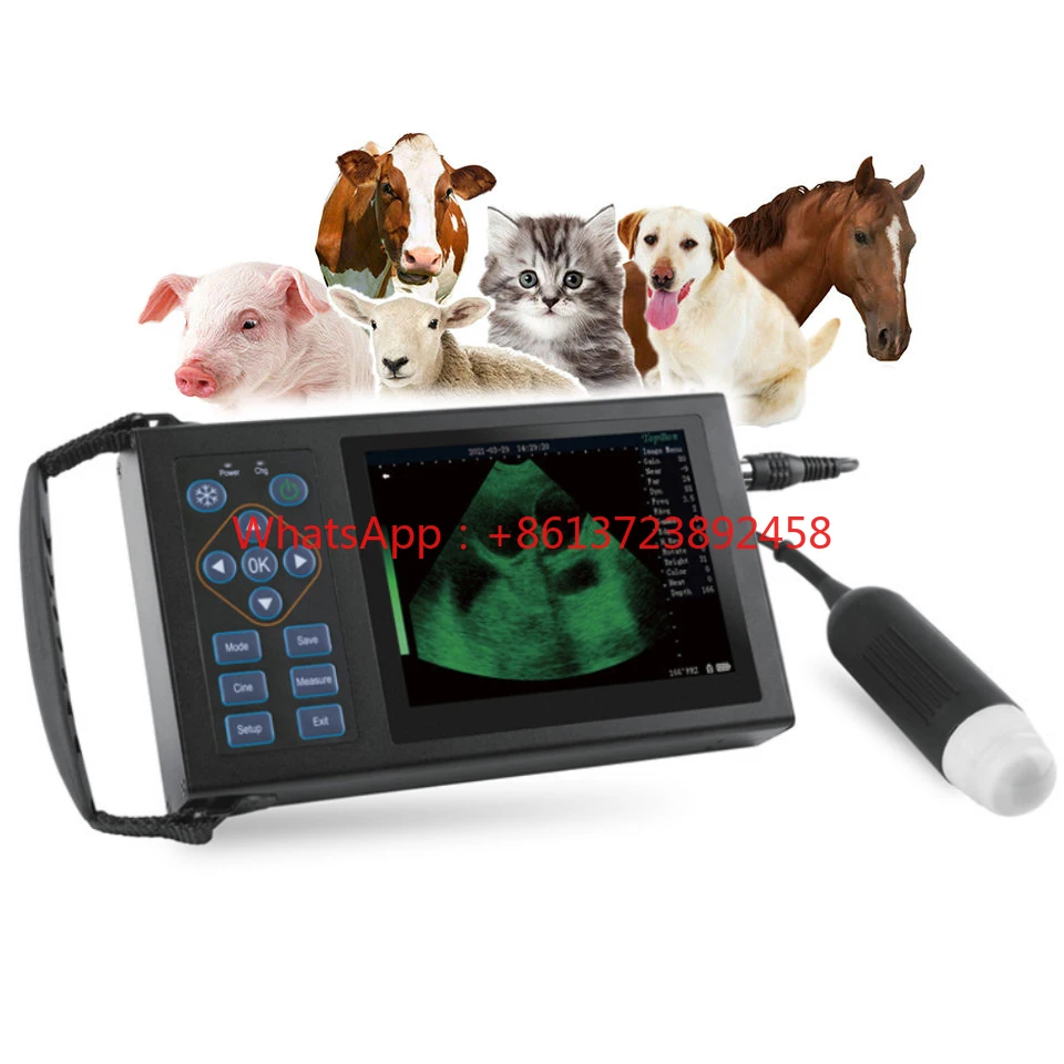 

RS Custom Animal B Ultrasound Machine Veterinary Medical Equipment Probe Preheating Pregnancy Test etc