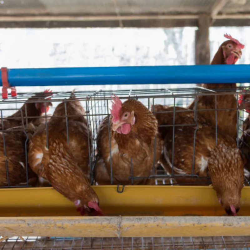 

Передняя и задняя универсальная защитная пластина из углеродного волокна для Losi LMT 4WD с твердым мостом Monster Truck 1/8, детали для обновления радиоуправляемого автомобиля, аксессуары