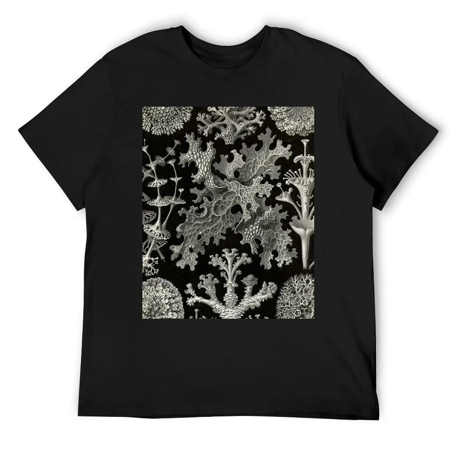 Lichenes (Thallophytes - Lichens) - Ernst Haeckel T-Shirt vintage clothes graphic shirts graphic tee shirt mens graphic t-shirts