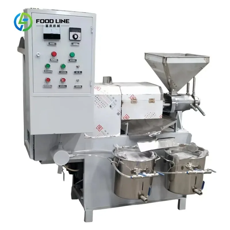 Customized 100kg/h Commercial Screw Oil Extraction Machine Automatic with Filter for Peanut Soybean Sunflower Seeds