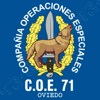 Spanish Legion COE 71 Oviedo Mod 2 Special Operations Emblem T-Shirt. Summer Cotton O-neck Men\'s Short Sleeve T-Shirt New S-3XL