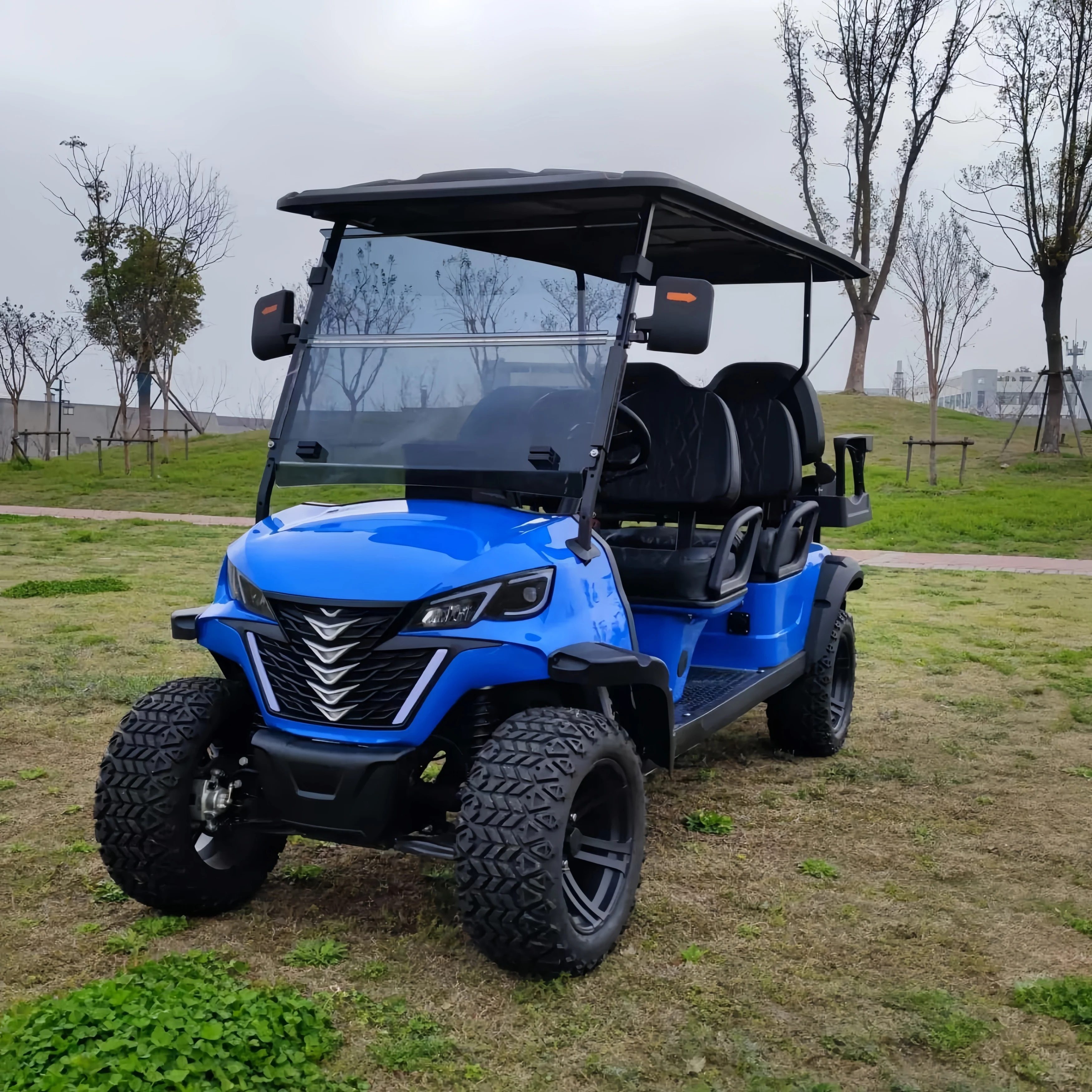 المصنع الصيني 2/4/6/8 الركاب المعادن الصلب البلاستيك نادي الصيد سيارة على الطرق الوعرة عربات الغولف الكهربائية عربات التي تجرها الدواب سيارة كهربائية صغيرة #4