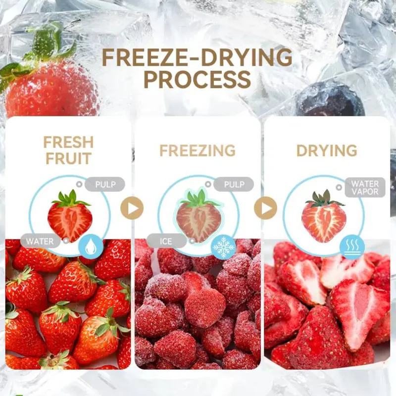Professional Fruit Dryer Home Use 7kg Food Freeze Dry Machine For Sale 