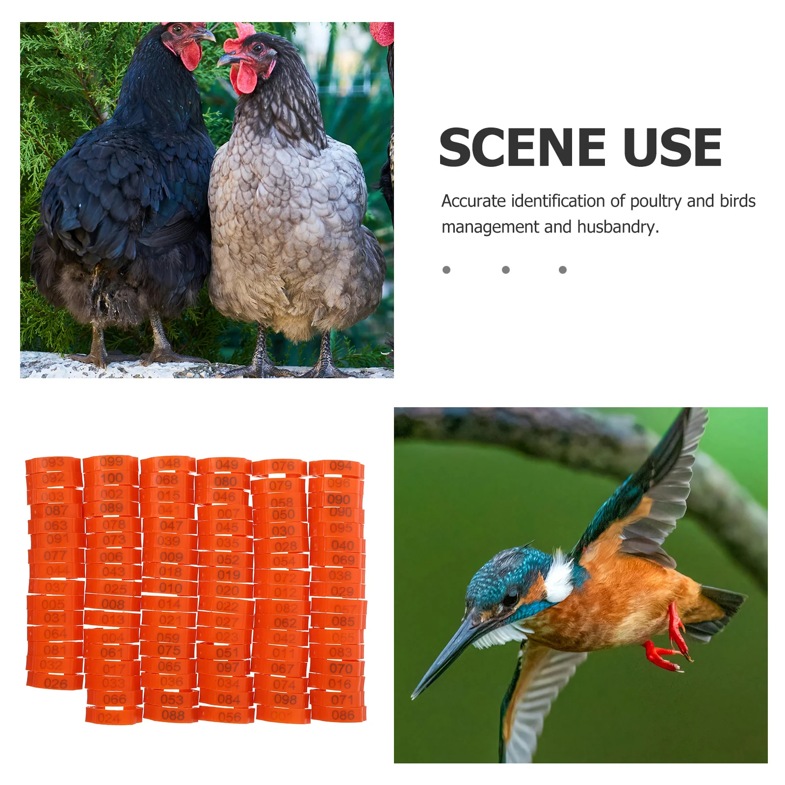 100 шт., ленты для ног для птицы, кольца для ног с куриным номером, надежная посадка, идентификационные бирки для управления разведениями на ферме