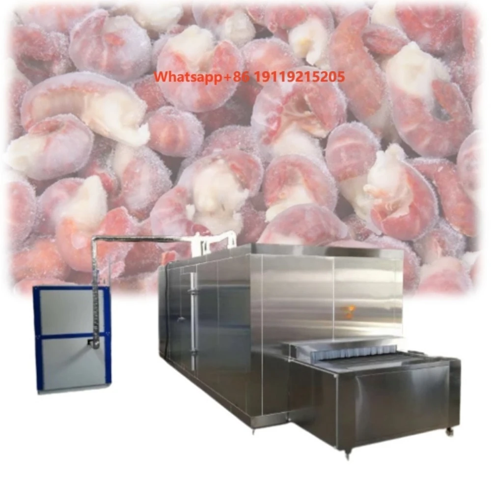 Equipment High-Performance Quick Freeze Tunnel Designed for Fruits Vegetables Meat Seafood and Other Frozen Food Items