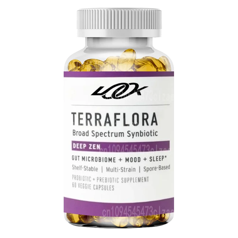 Synbiotics - Spore Based Probiotics and Prebiotics for Intestinal Health Support Soil Based Probiotic Supplement 60 Capsules