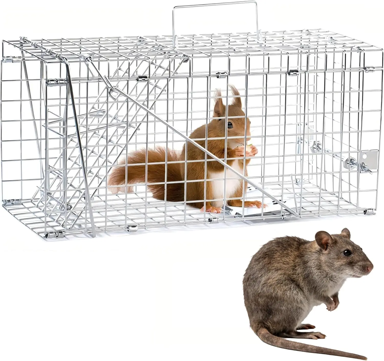

Humane Live Squirrel Trap, Foldable Heavy Duty Cage for Indoor/Outdoor, 17x7.9x7.5 inches