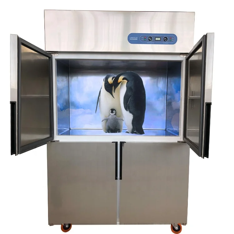 Commercial Double-Temperature Vertical Refrigerator Freezer Restaurant Supermarket Direct Cooling Upright Chiller Meat Storage