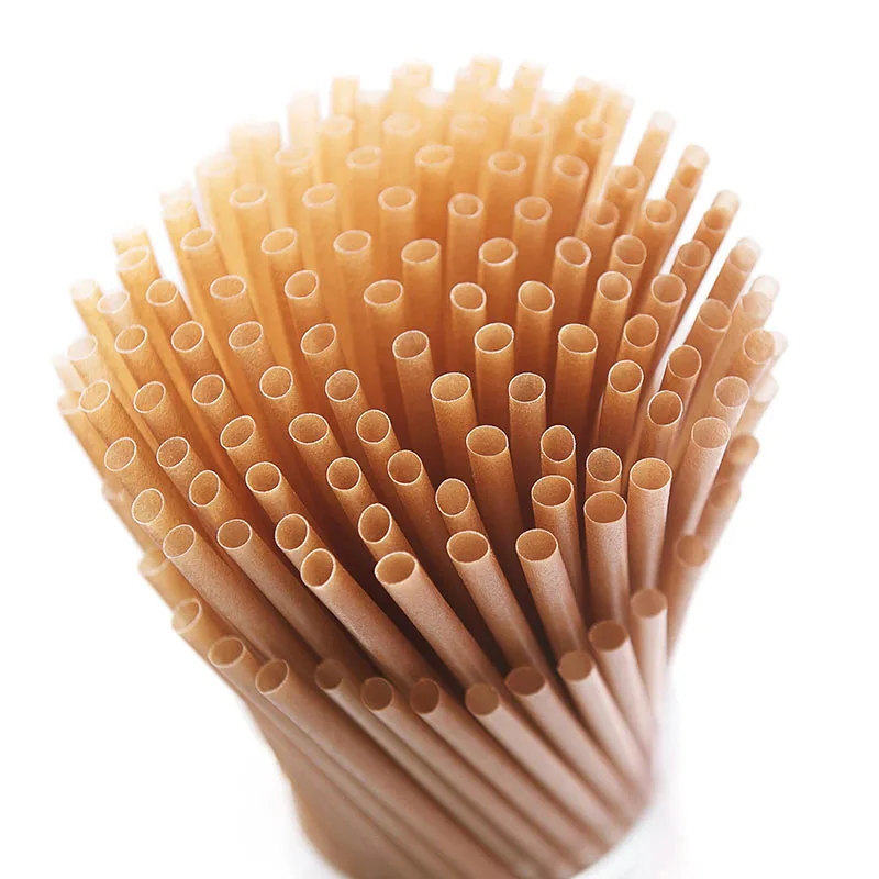 200pcs Disposable Straws Sugar Cane Straws Compostable Drinking Cocktail Straw Kitchen Beverage Accessories Festival Kitchen