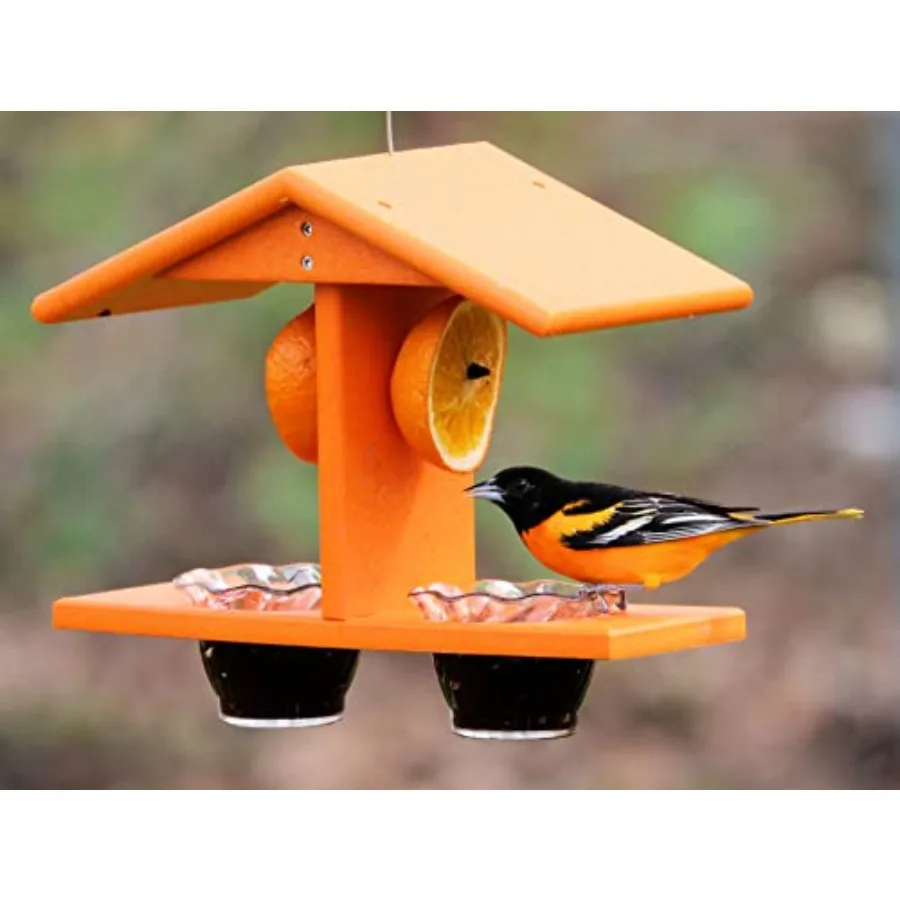 

Oriole Bird Feeder: Outdoor Hanging Jelly Feeder with Double-Cup Design Stainless Steel Red Weather-Resistant Easy-Clean