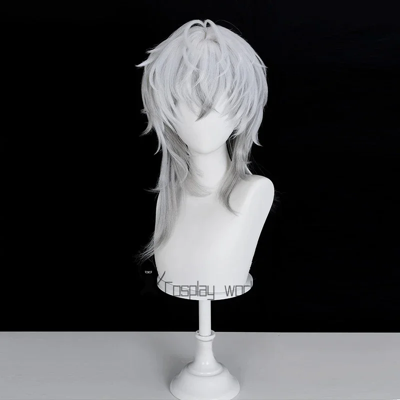 فرسان SilverAsh the Reignfrost شعر مستعار تأثيري فضي رمادي مجعد الكتف طول الشعر مقاومة للحرارة الباروكات للرجال النساء كرنفال #2