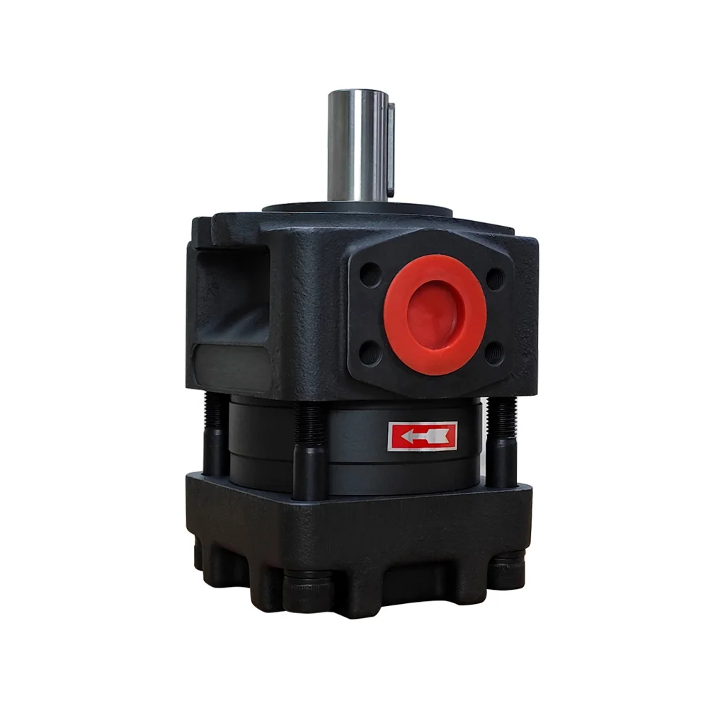 

QT PUMP QT62-80 80cc/rev NBL5-D80 Hydraulic Equipment Internal Gear Transmission Fluid Internal Gear Pump