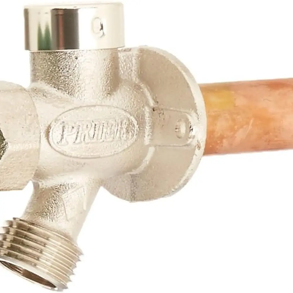 

4 Anti-Siphon, Frost-Free, Outdoor Quarter-Turn Hydrant