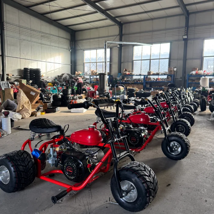 

Factory Customized Wholesale New 212cc 4-Stroke Gas Powered Adult Pedal Mini Trike Off-road Racing Trike With Chain Drive