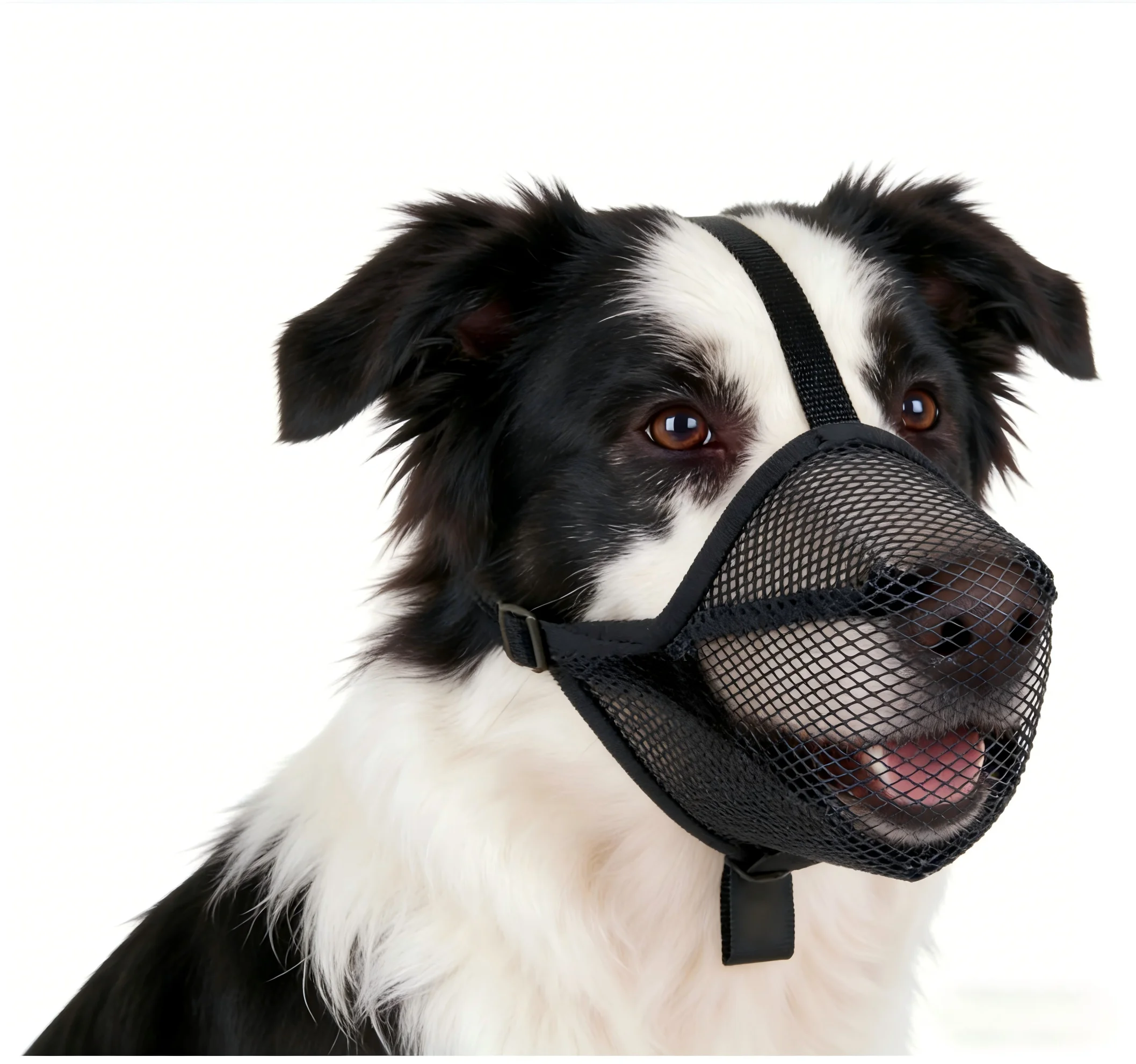 Atmungsaktiver Mesh-Hundemaulkorb mit Kopfband, verstellbar, Anti-Biss und Anti-Bell, für alle Größen