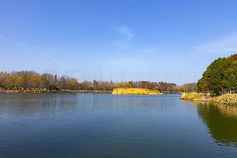 

HGLRC SPECTER 2004 1800KV Brushless Motor 4-6S for FPV Freestyle 3.5" Cinewhoop 5" Long Range Drone DIY Parts