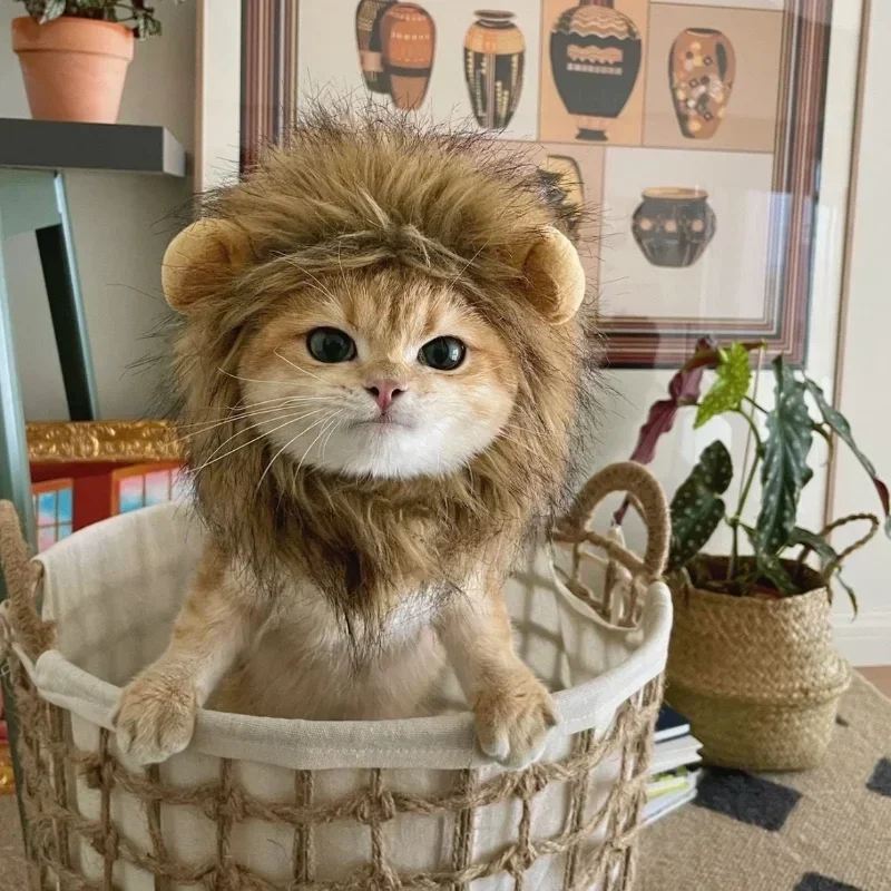 

Cat Lion Wig Funny Costume Puppy Halloween Cosplay Dress Up Clothes Cute Pet Hat For Small Dog Kitten Party Accessories