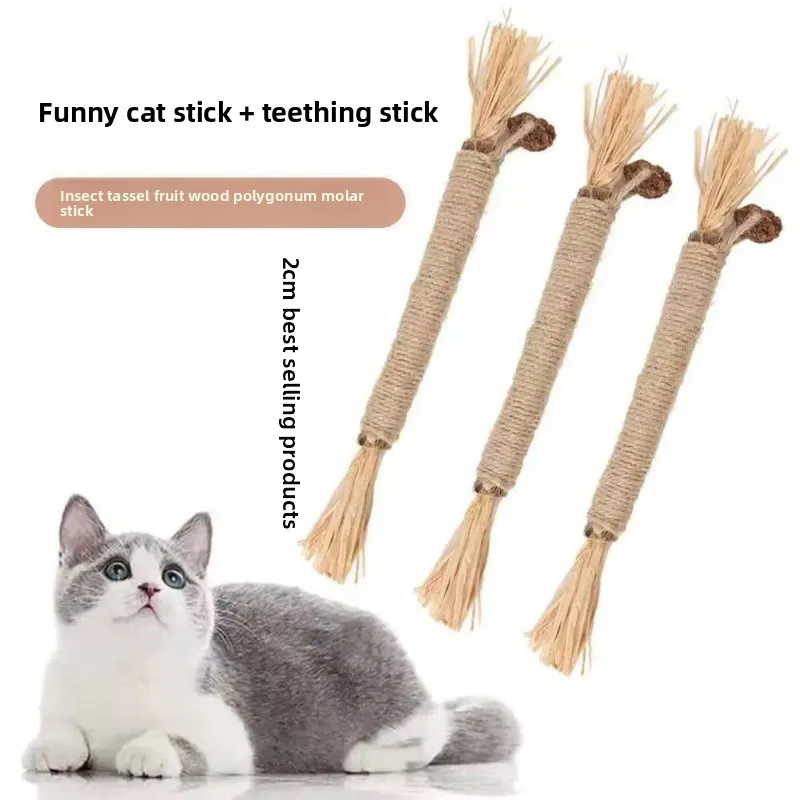 Insect Gall Fruit Wood Knotweed Cat Teething Stick Cat Toy Teeth Cleaning Kitten Bite-Resistant Mint Pet Cat
