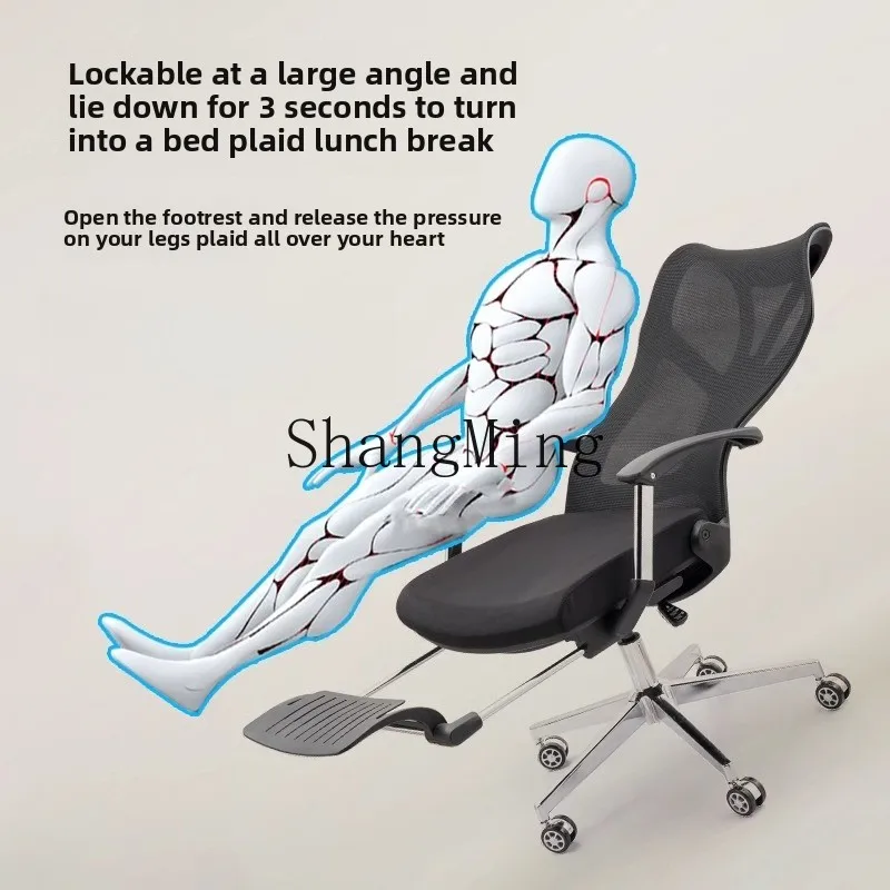 Lxy Recumbable Ergo… - image