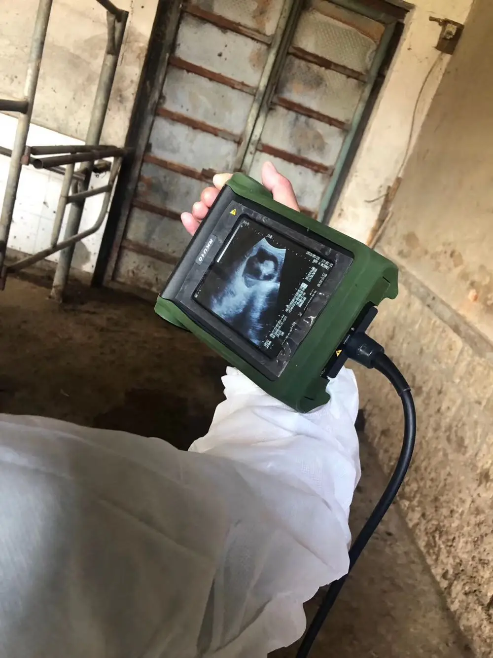 Portable Handheld Vet Ultrasound RKU10 with Linear Rectal Probe Cheap Price for Equine and Cattle Use