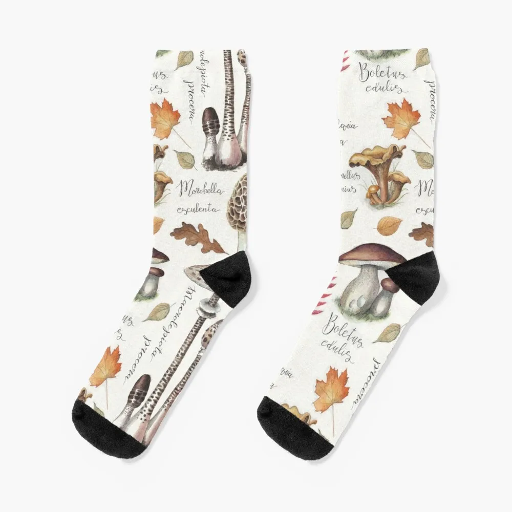 

Botanical Mushrooms Socks Basketball Socks