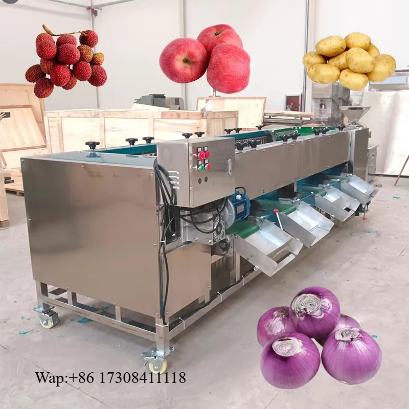 Stainless Steel Fruit Size Sorting Machine Litchi  Orange Grading Machine Roller Type Fruit Sorting Equipment