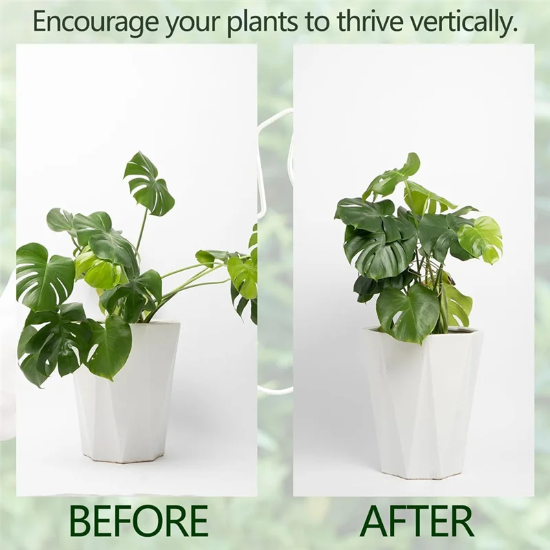 

Monstera Stem Support 5Pcs Plant Support System For Monstera & Turtle Shell Plants-Quality Leaf Clamps-AT64