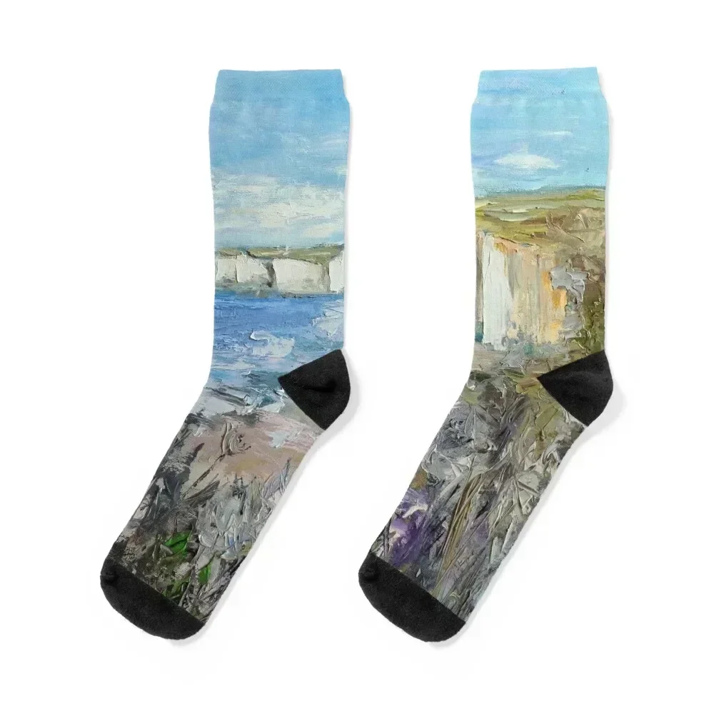 Seven Sisters, Sussex, beach painting by Olena Leus Socks Novelties gifts christmass gift sports stockings Socks Women Men's