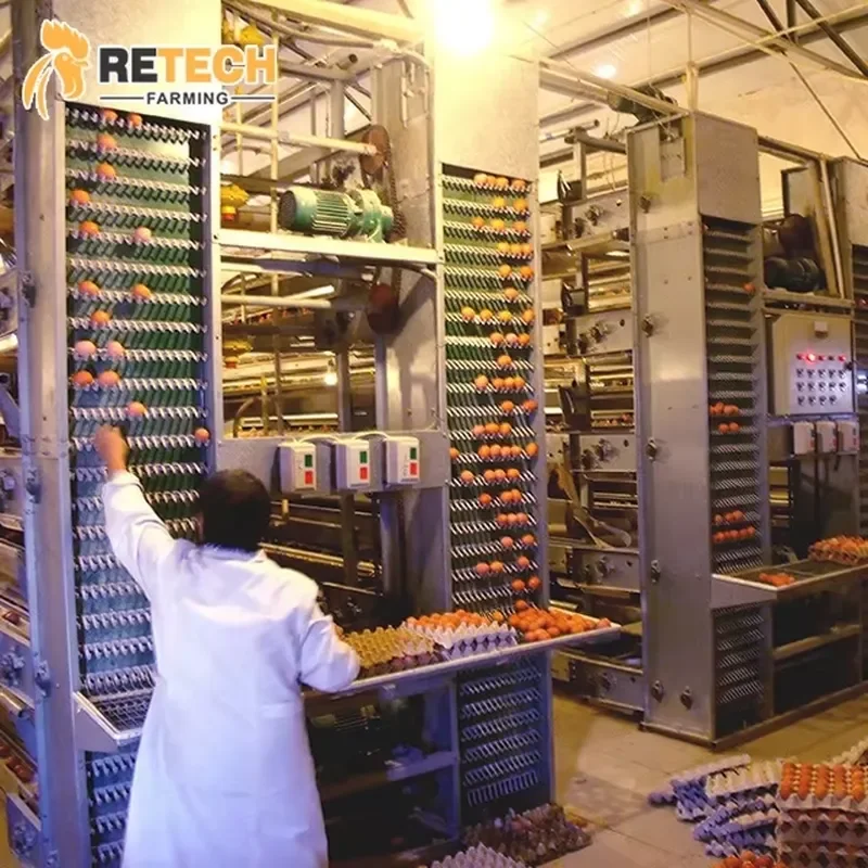 

Automatic H Type Battery Cage for Poultry Farm Chicken Layer for Ghana