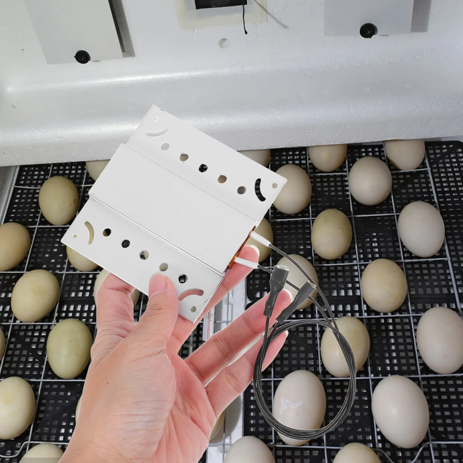 

Incubator Heater Plate Element Accessory For Egg Incubators Stable Heat Insulated Surface Constant Temperature Technology Mini