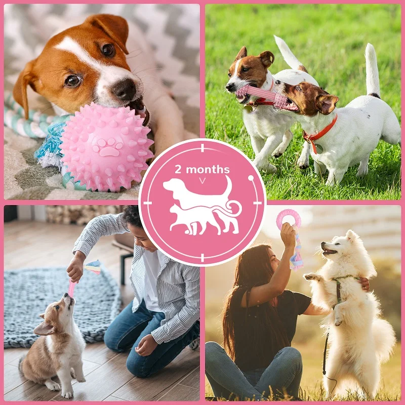 Soft Dog Chew Toys Pink Rubber Bone Toy Durable Molars Training Ball Toy Chihuahua Yorkie Interactive Treat Toys Pet Supplies