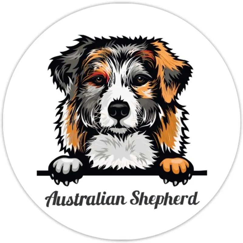 Dandie Dinmont Terrier etiquetas adhesivas mirando perro amante de las mascotas perro mamá vinilo círculo redondo pegatina perro San Valentín 15CM PVC KK