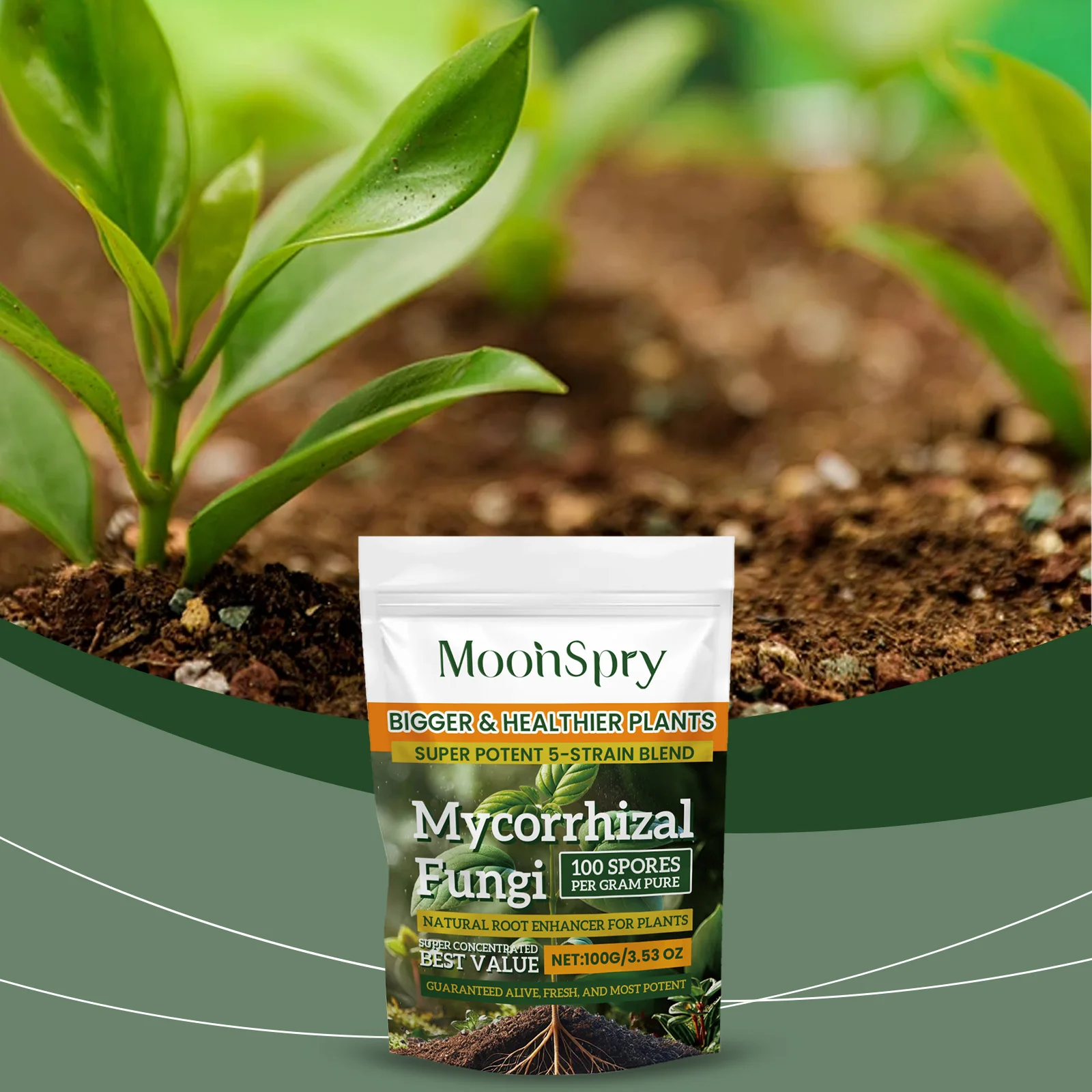 Natural Plants Root Enhancer Promote Root Development Enhance Absorption Capacity Improve Disease Resistance Plant Rooting Agent