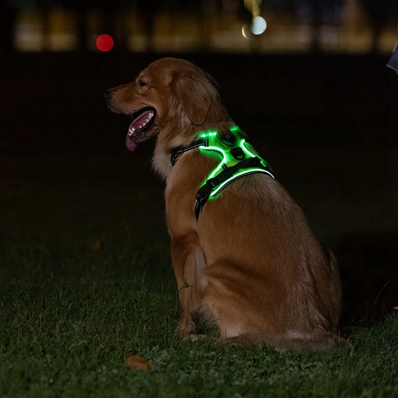 Luminous Pet Harness Luminous Dog Harness Adjustable Luminous Pet Chest Strap